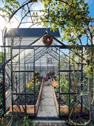 Greenhouse 1.jpg